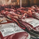 dia-mundial-do-doador-de-sangue:-uma-unica-doacao-pode-salvar-3-vidas