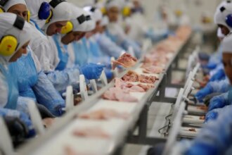industria-criou-mais-de-910-mil-empregos-em-quatro-anos,-aponta-ibge