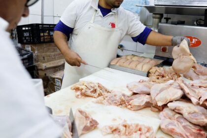 gripe-aviaria:-17-paises-suspendem-restricao-a-carne-brasileira