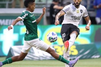 botafogo-e-palmeiras-abrem-oitavas-de-final-do-mundial-de-clubes