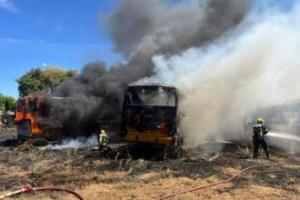fogo-em-vegetacao-se-espalha-e-destroi-sucatas-de-onibus-em-palmas