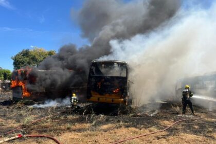fogo-em-vegetacao-se-espalha-e-destroi-sucatas-de-onibus-em-palmas