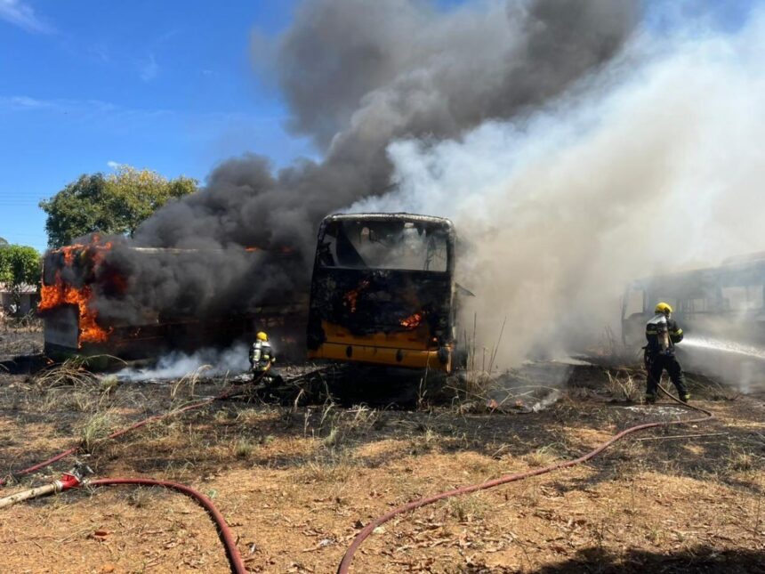 fogo-em-vegetacao-se-espalha-e-destroi-sucatas-de-onibus-em-palmas