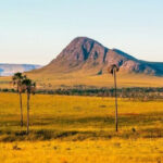 inova-cerrado-2025-entra-em-fase-de-aceleracao-com-o-modulo-tracao