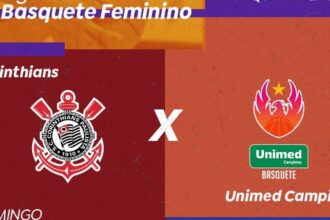 tv-brasil-transmite-liga-de-basquete-feminino