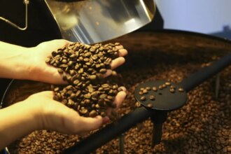 setor-cafeeiro-pode-ser-forcado-a-redirecionar-producao,-diz-cepea/usp