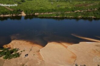 videos:-jornal-do-campo-to-de-domingo,-10-de-agosto-de-2025
