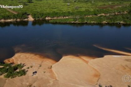 videos:-jornal-do-campo-to-de-domingo,-10-de-agosto-de-2025