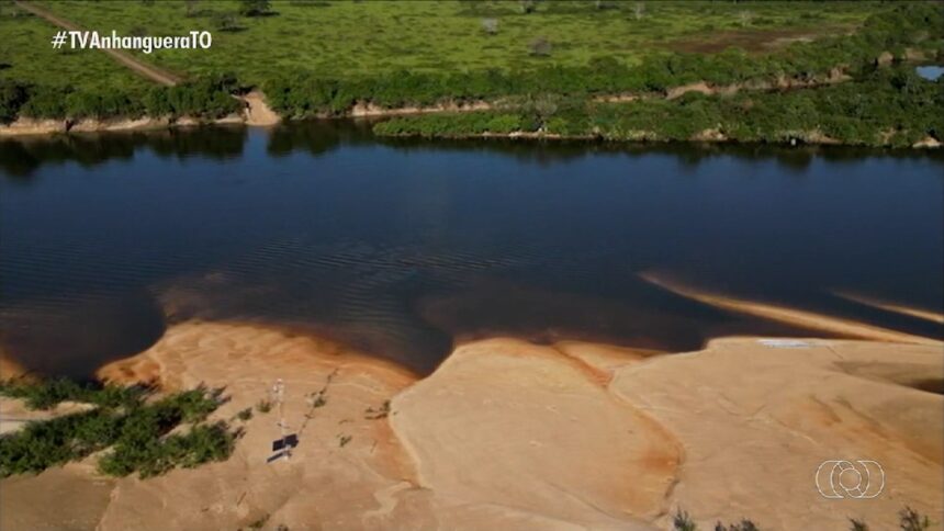 videos:-jornal-do-campo-to-de-domingo,-10-de-agosto-de-2025