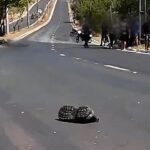 jovem-de-21-anos-morre-apos-perder-controle-de-moto-em-avenida-e-atingir-poste