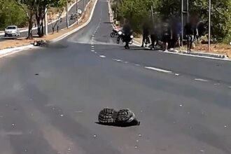 jovem-de-21-anos-morre-apos-perder-controle-de-moto-em-avenida-e-atingir-poste