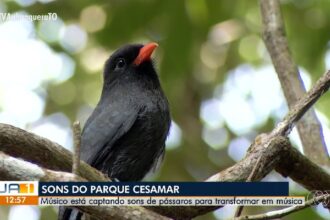 videos:-jornal-anhanguera-1a-edicao-–-to-de-sabado,-16-de-agosto-de-2025