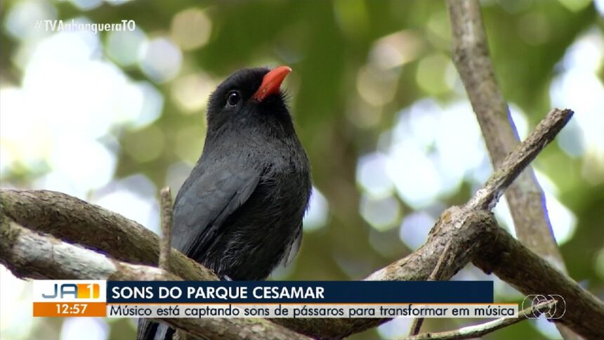 videos:-jornal-anhanguera-1a-edicao-–-to-de-sabado,-16-de-agosto-de-2025