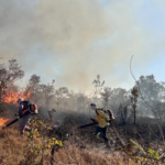 tocantins-registra-mais-de-quatro-mil-focos-de-queimadas-desde-o-inicio-de-2025