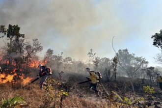 tocantins-registra-mais-de-quatro-mil-focos-de-queimadas-desde-o-inicio-de-2025