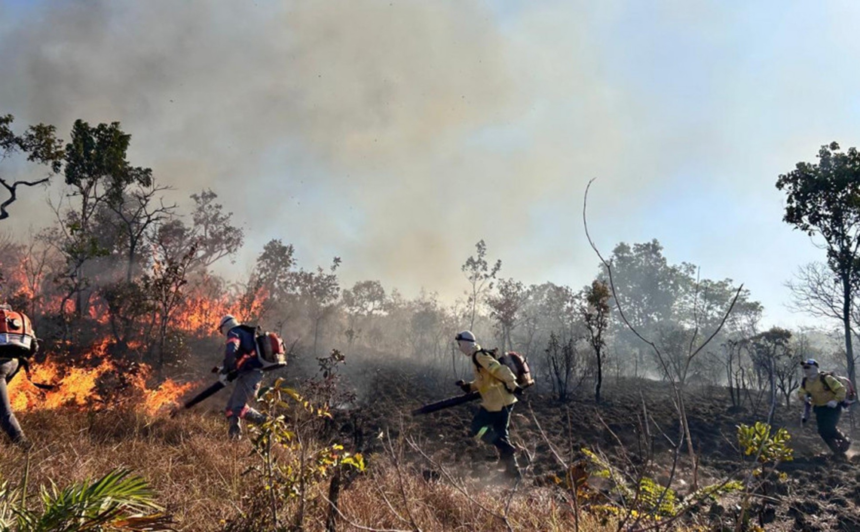 tocantins-registra-mais-de-quatro-mil-focos-de-queimadas-desde-o-inicio-de-2025
