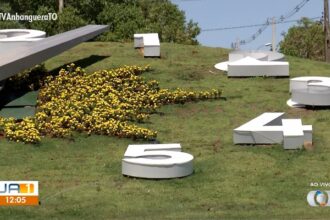cartao-postal-de-palmas,-relogio-de-flores-e-alvo-de-vandalismo